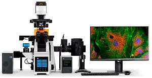 Микроскоп люминесцентный инвертированный ADF i500FL, изображение 1