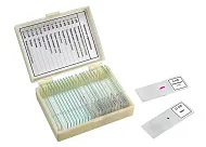 Набор микропрепаратов Микромед «Анатомия и физиология», 14 образцов