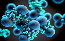 Биологические vs. стереоскопические микроскопы: в чем разница?