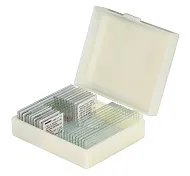 Набор микропрепаратов Konus 10: «Рыбы, лягушки и другие земноводные»