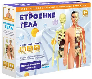 Исследовательский набор-конструктор ND Play «Строение тела» 6+, изображение 1
