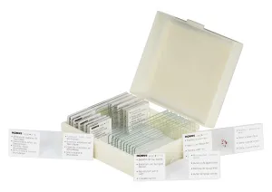 Набор микропрепаратов Konus 10: «Потрясающий мир в капле воды», изображение 2