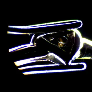 Микроскоп стереоскопический цифровой MAGUS Stereo D7T PLUS, изображение 6