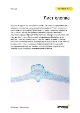 Набор микропрепаратов Levenhuk N80 NG «Увидеть все!», изображение 24