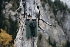 Бинокль-дальномер SWAROVSKI EL Range TA 10x42, изображение 5