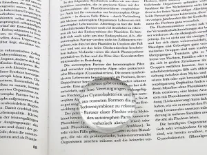 Лупа-линза Veber 4x, 50 мм (6911), изображение 3