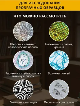 Микроскоп Levenhuk Discovery Centi 01 с книгой, изображение 17