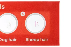 Набор микропрепаратов Levenhuk Discovery «Фауна», 12 шт., изображение 4