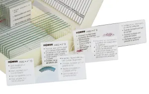 Набор микропрепаратов Konus 10: «Животные и растения. Мутации», изображение 2