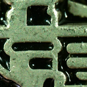 Микроскоп стереоскопический MAGUS Stereo A10, изображение 16