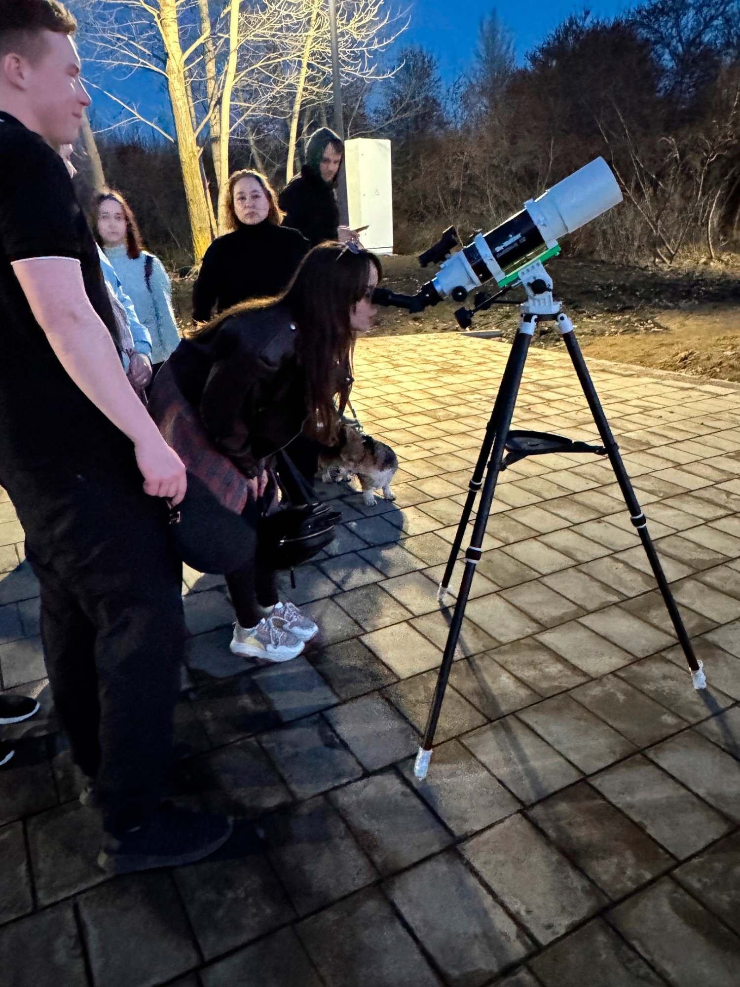 nabchel-prog_02.jpg nabchel-prog_02.jpg